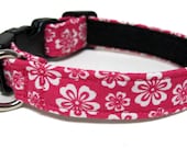 Floral Print Collars, Adjustable Martingale or Quick Release. Pansies, Posies, Roses, Flowers Dog collars