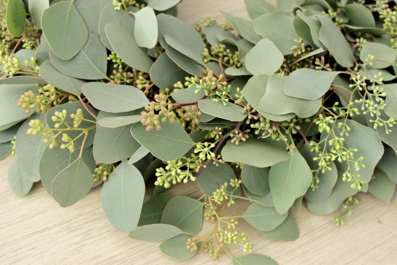 May include: A close-up of a eucalyptus garland with green leaves and small green buds. The garland is on a light wood surface.