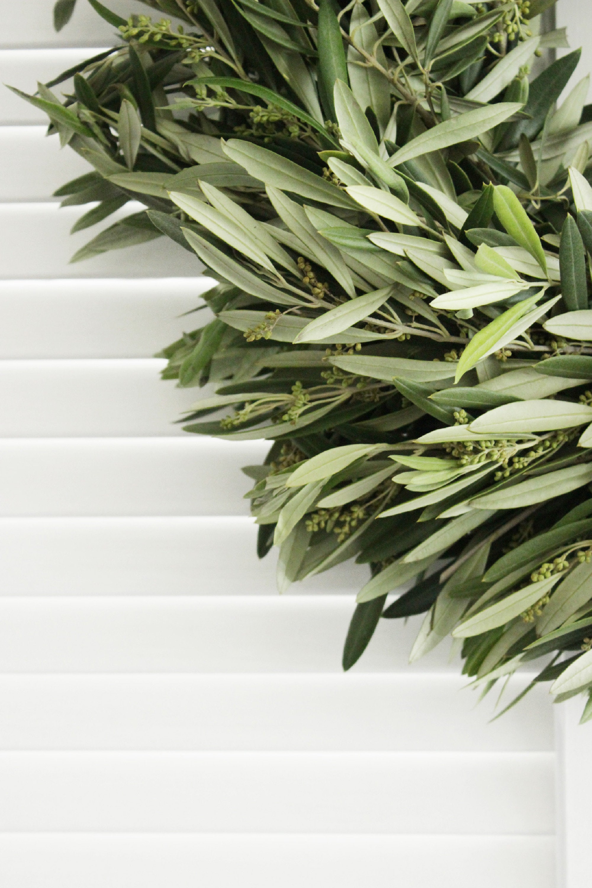 Fresh Handmade Olive Branch Wreath 20 Greenery Wreath Etsy