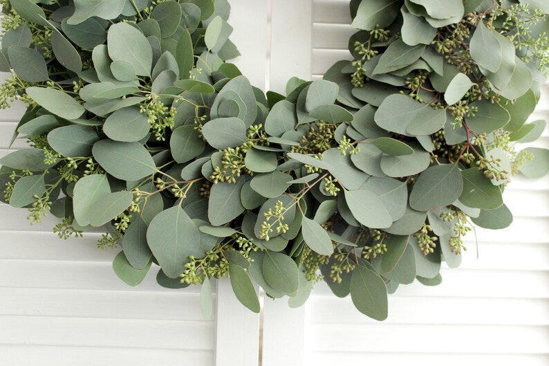 May include: A green eucalyptus wreath with small green buds, ideal for adding a touch of nature to your home decor.