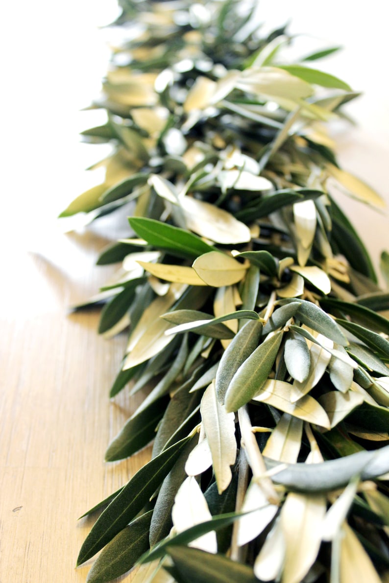 Handmade Fresh Olive Branch Greenery Garland 6 feet for Home Wedding Holidays Fall & Winter Table Décor image 5