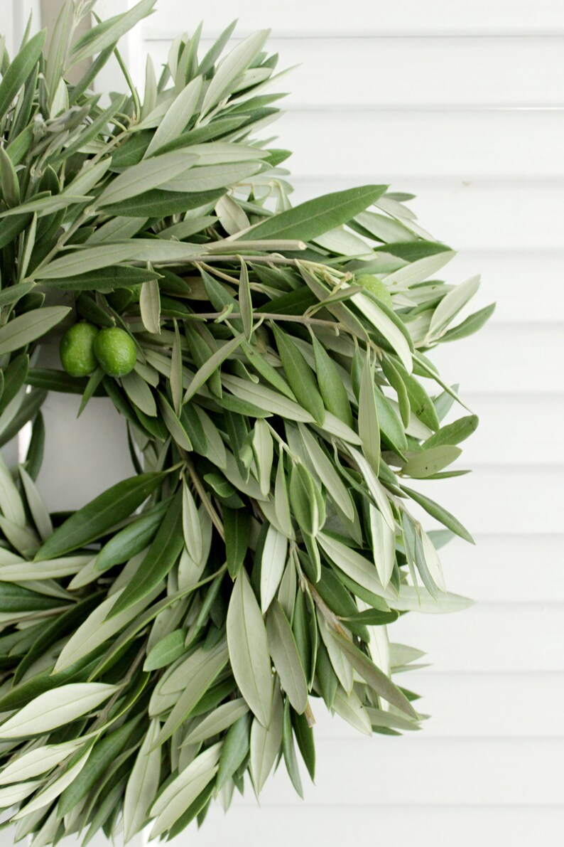 Fresh Handmade Olive Branch Wreath 12 Greenery Wreath Etsy