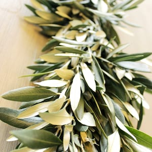 Handmade Fresh Olive Branch Greenery Garland 10 feet for Home Wedding Holidays Fall & Winter Table Décor image 3