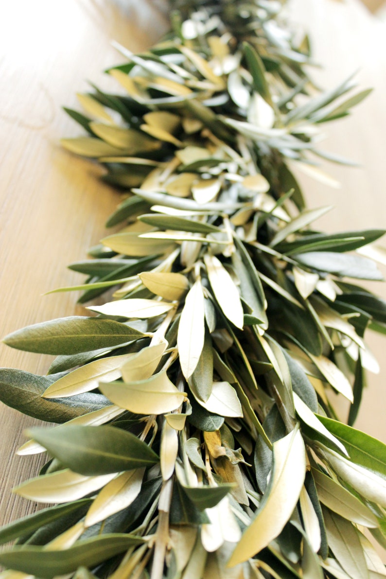 Handmade Fresh Olive Branch Greenery Garland 6 feet for Home Wedding Holidays Fall & Winter Table Décor image 3