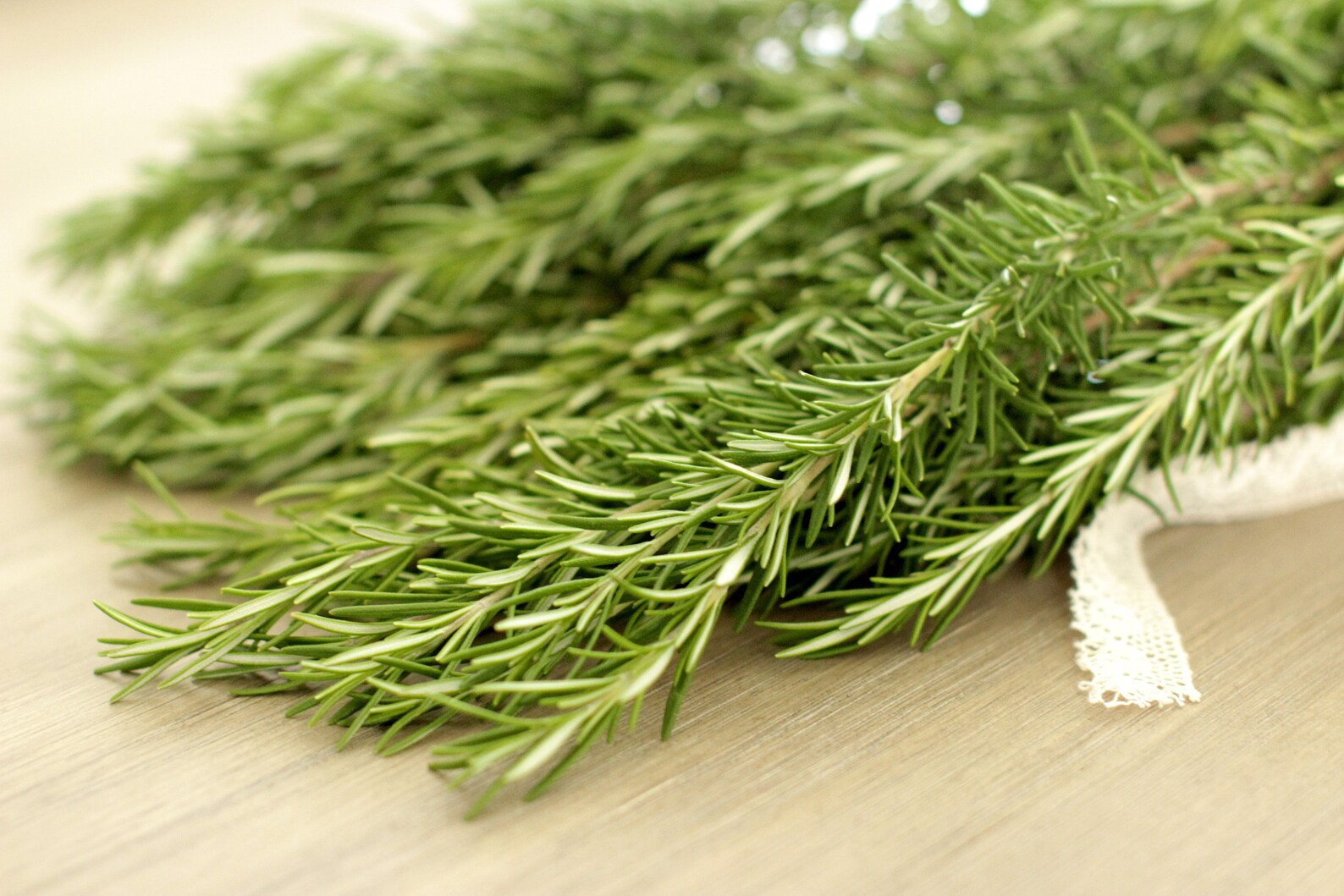 Fresh Cut Rosemary Herbs 810 Stems Etsy