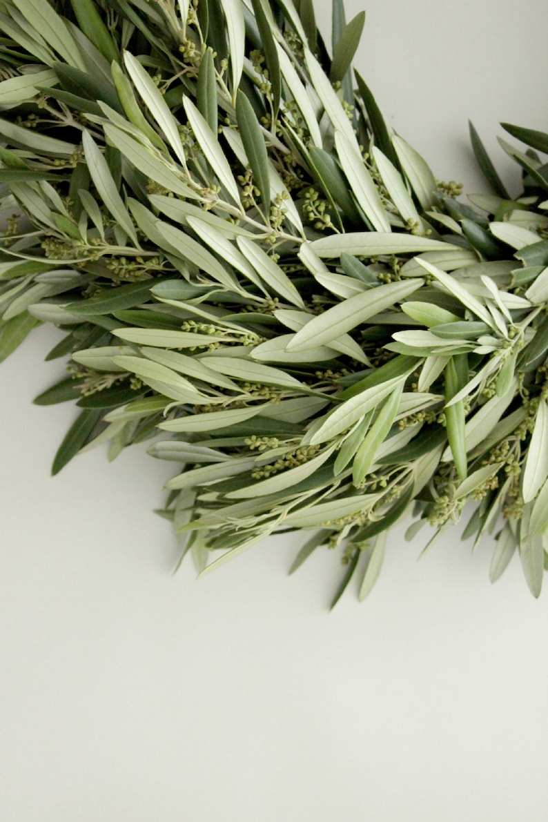 Fresh Handmade Olive Branch Wreath 20 Greenery Wreath Etsy