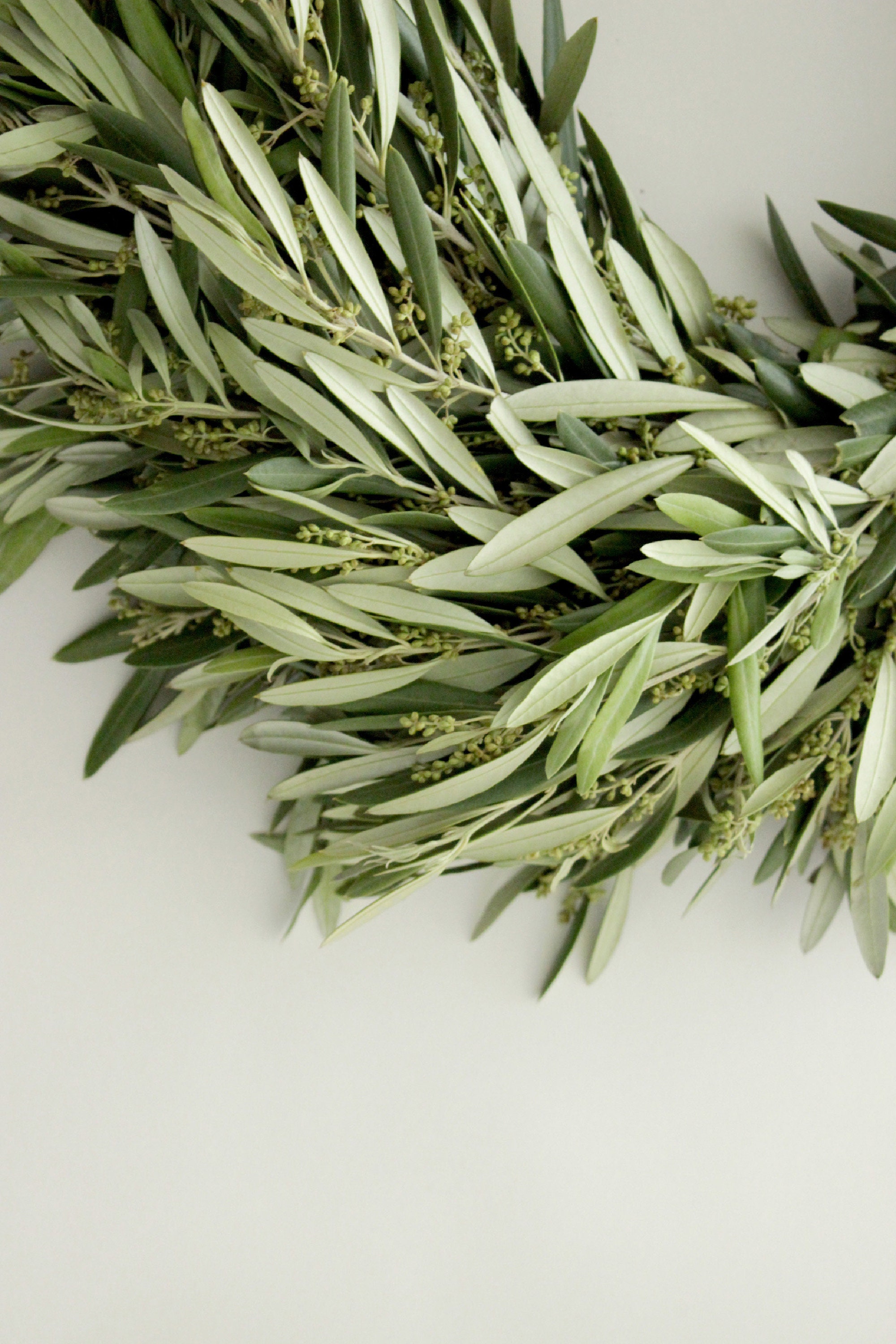 Fresh Handmade Olive Branch Wreath 20 Greenery Wreath Etsy