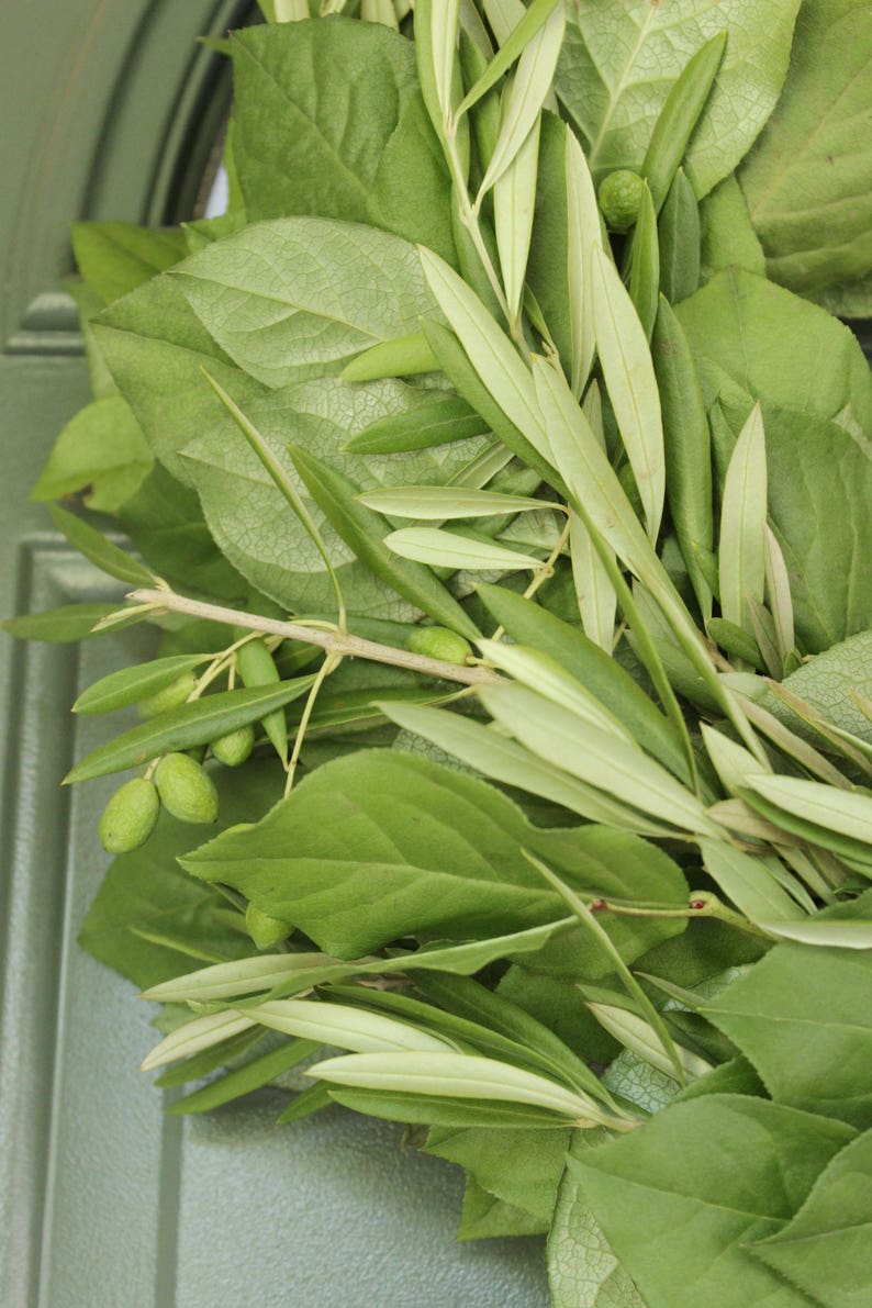 Olive Lemon Leaf Wreath 20 image 4