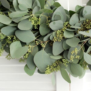 May include: A green eucalyptus wreath with small green buds. The wreath is made of fresh eucalyptus leaves and is perfect for adding a touch of greenery to your home decor.