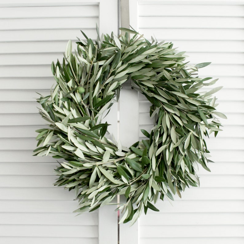 Fresh Handmade Olive Branch Wreath 16 Inch Greenery Wreath Etsy