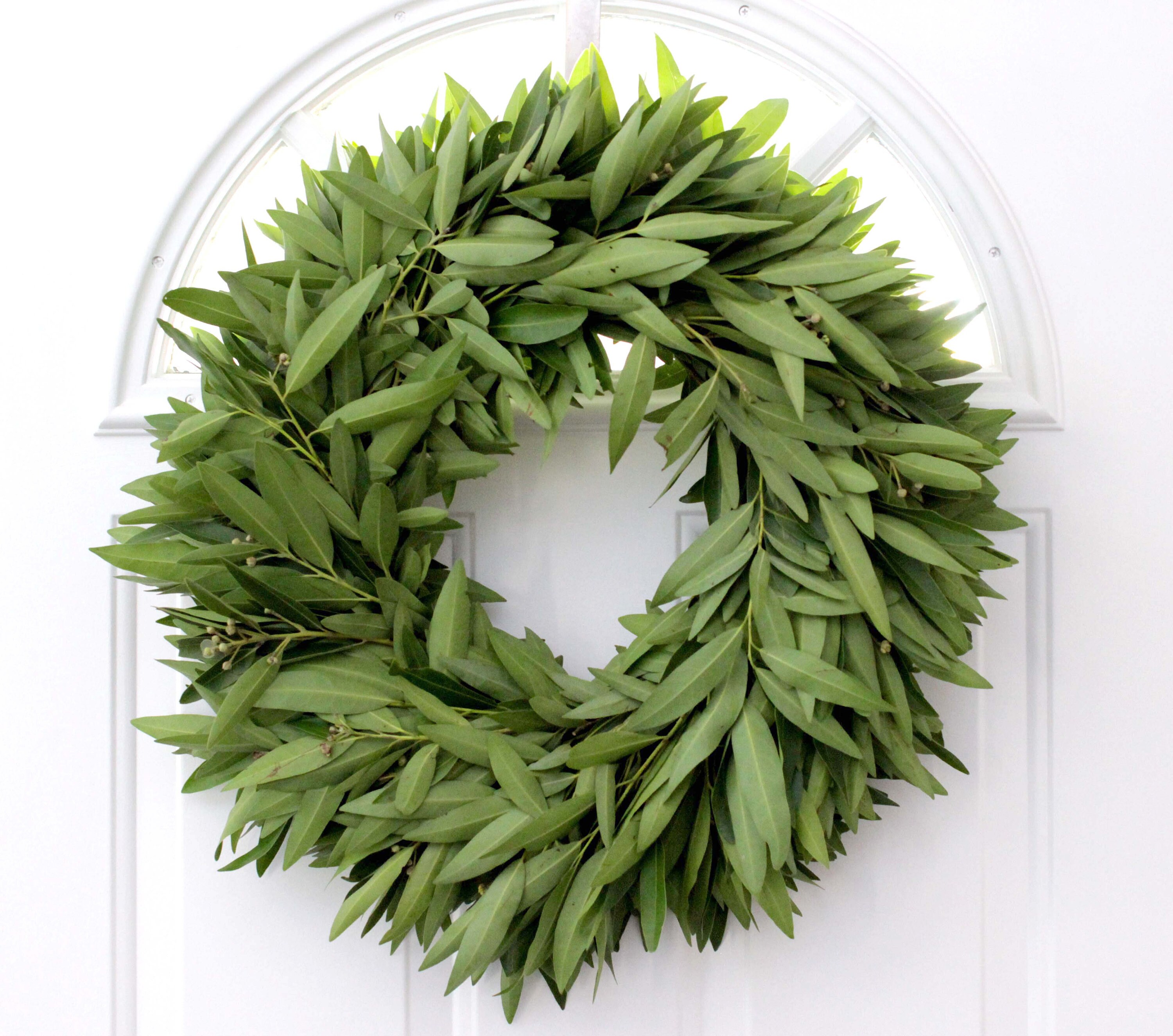 Fresh Bay Leaf Wreath - 24"