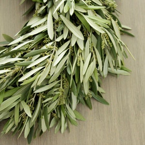 Fresh Handmade Olive Branch Wreath 20 Greenery Wreath for Mother's Day Gift, Home Decor, Wedding, Housewarming image 6