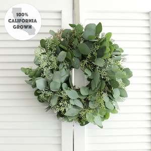 Fresh Seeded Eucalyptus Wreath, Natural Greenery, Elegant Front Door & Wedding Style, 12" 16" 20" 24" image 11