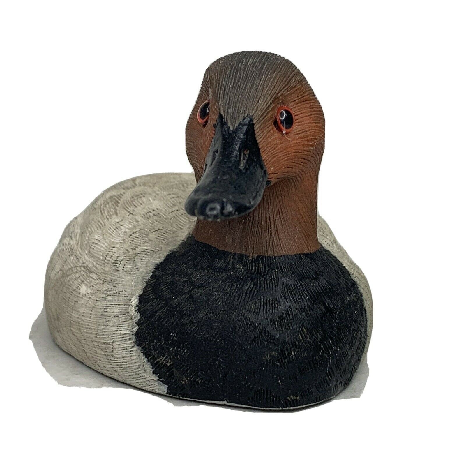 Canvasback Duck Decoys for sale Only 4 left at 60