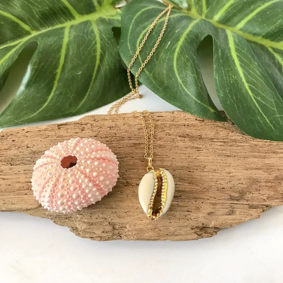 Gold Dipped Cowrie Shell Necklace Etsy Canada