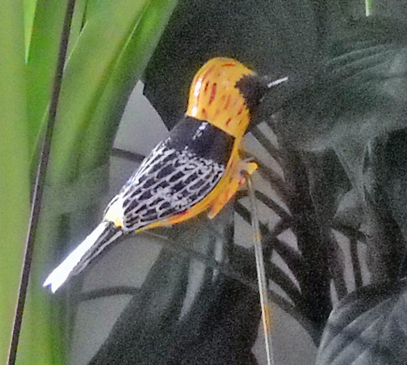 Hooded Oriole Christmas Ornament, Hand Carved Clip-on Bird image 4