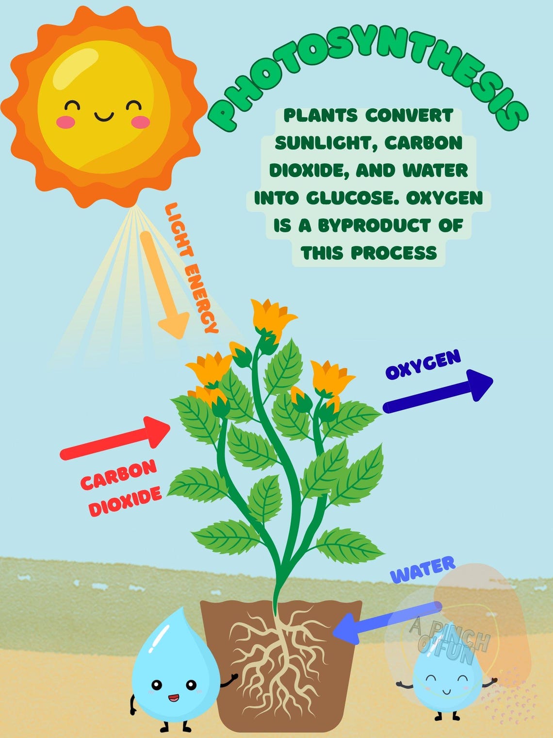 Photosynthesis Lab Rposter Printable Science Photosynthesis Poster Wall Decor Modern Colorful ...