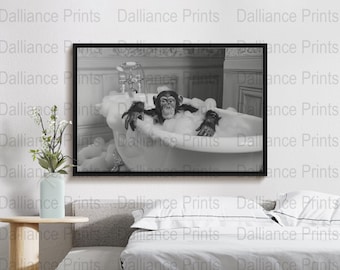 Chimpanzee Poster - Chimpanzee Print - Chimp Wall Art - Bath Photo - Digital Download - High Quality 300dpi - JPEG file - Unique Artwork