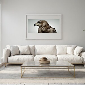 May include: A rectangular wall art print featuring a detailed profile portrait of a brown eagle with a sharp beak and intense gaze, displayed in a thin white frame centered on a plain light gray wall above a white sofa and glass coffee table.