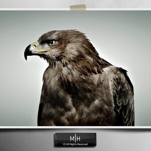 May include: A photographic print featuring a profile view of a brown eagle with a sharp, hooked beak and intense eyes. The bird is captured against a neutral, light gray background. Below the print, a small black plaque displays the text M|H.