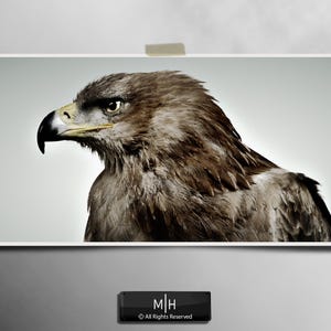 May include: A rectangular wall art print featuring a detailed profile portrait of a brown eagle with a sharp, hooked beak and intense eyes. The bird is captured in a side view against a neutral, light gray background, showcasing textured feathers.