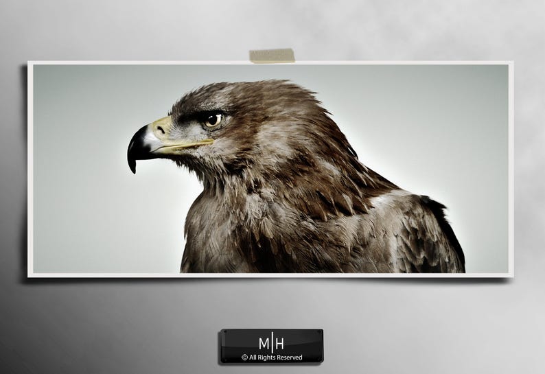 May include: A rectangular wall art print featuring a detailed profile portrait of a brown eagle with a sharp, hooked beak and intense eyes. The bird is captured in a side view against a neutral, light gray background, showcasing textured feathers.
