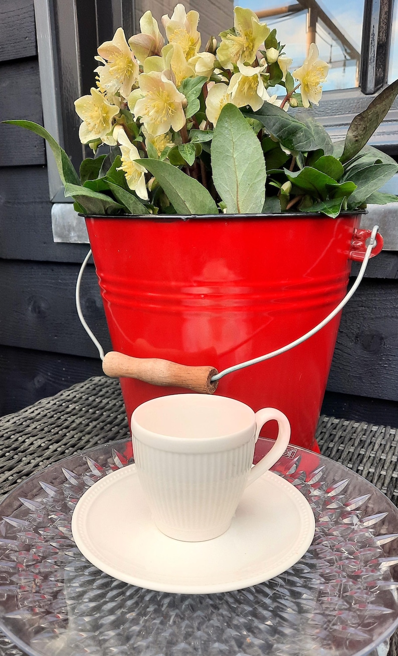 May include: A red metal bucket with a wooden handle holds a plant with yellow flowers and green leaves. A white teacup and saucer sit on a clear glass plate, resting on a woven surface.
