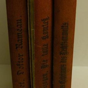3 Bände Engelhorns Roman-Bibliothek 1898 Bild 2