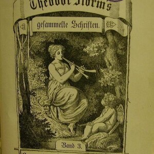 Theodor Strom,gesammelte Schriften 1891 Bild 1