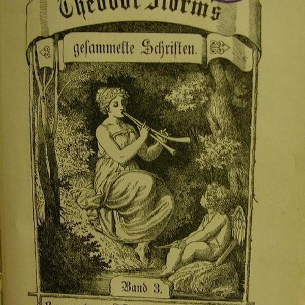 Theodor Strom,gesammelte Schriften- 1891 -