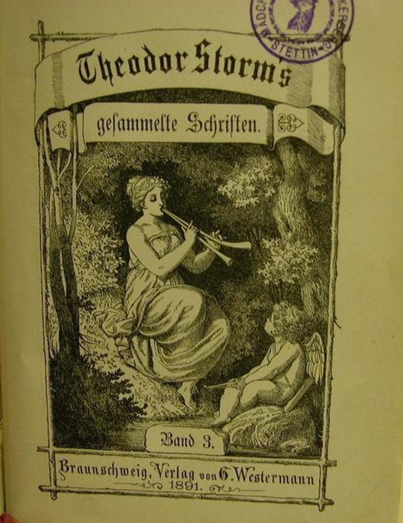 Theodor Strom,gesammelte Schriften 1891 Bild 1