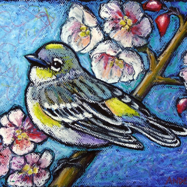 9x12 Original Bird Painting - Oil Pastels- "Butter-Butt" - Not a Print - bird art -songbird -