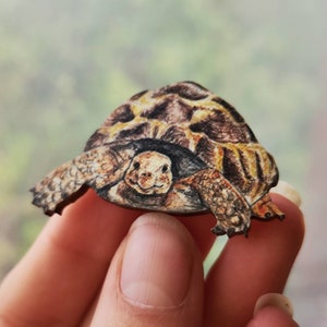 Wooden tortoise brooch, illustrated wooden jewellery, animal pin badge. image 3