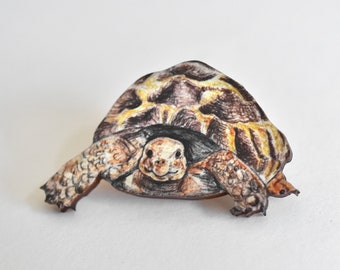 Wooden tortoise brooch, illustrated wooden jewellery, animal pin badge.