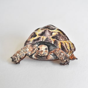 Wooden tortoise brooch, illustrated wooden jewellery, animal pin badge.