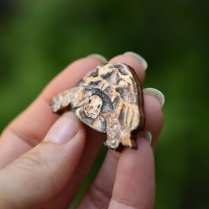 Wooden tortoise brooch, illustrated wooden jewellery, animal pin badge. image 2