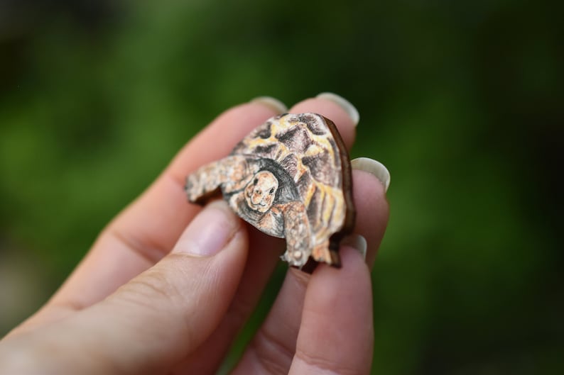 Wooden tortoise brooch, illustrated wooden jewellery, animal pin badge. image 2