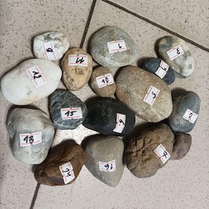 Unique Beach Rocks, Odd Beach Stones, Unusual Beach Finds, Stones  Collectable