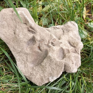 BIG Natural Rocks, (17x14x13cm, 2,5 kg) Gartenskulptur, Gartenkunst, Steinstatuen, Aquarium, Terrarium Kunst, Beach Decor G12
