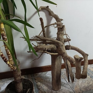 Big stump (730x470x70mm) Driftwood decor DIY projects branch for home decor,for fireplace, aquarium terrarium reptile enclosure decoration