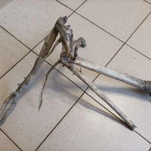 Natural Large Driftwood Stump Stunning branch for large centerpiece aquarium terrarium or reptile enclosure decoration