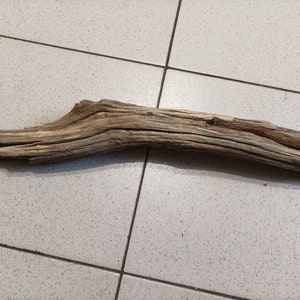 Natural (550x60x40mm) Large Driftwood Stump Stunning branch for large centerpiece aquarium terrarium or reptile enclosure decoration(#3)