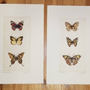 May include: Two framed butterfly prints. Each print features three different butterfly illustrations in various colors, including red, yellow, brown, and black. The prints are on white paper with deckled edges, and are displayed on a wooden surface.