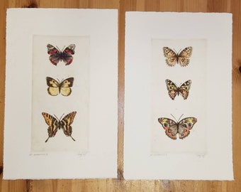 Vintage butterfly etchings