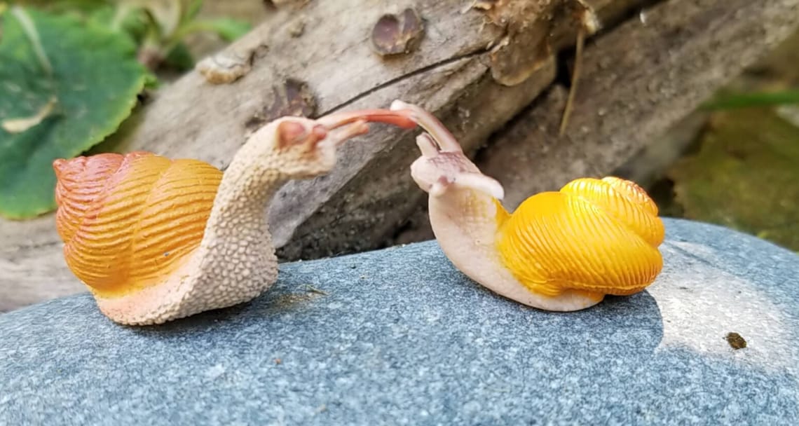 Two Mini Snails/garden Snail Models Supply for Terrarium/free Etsy