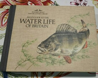 Vintage Field Guide to the Waterline of Britain, 1984 Readers Digest