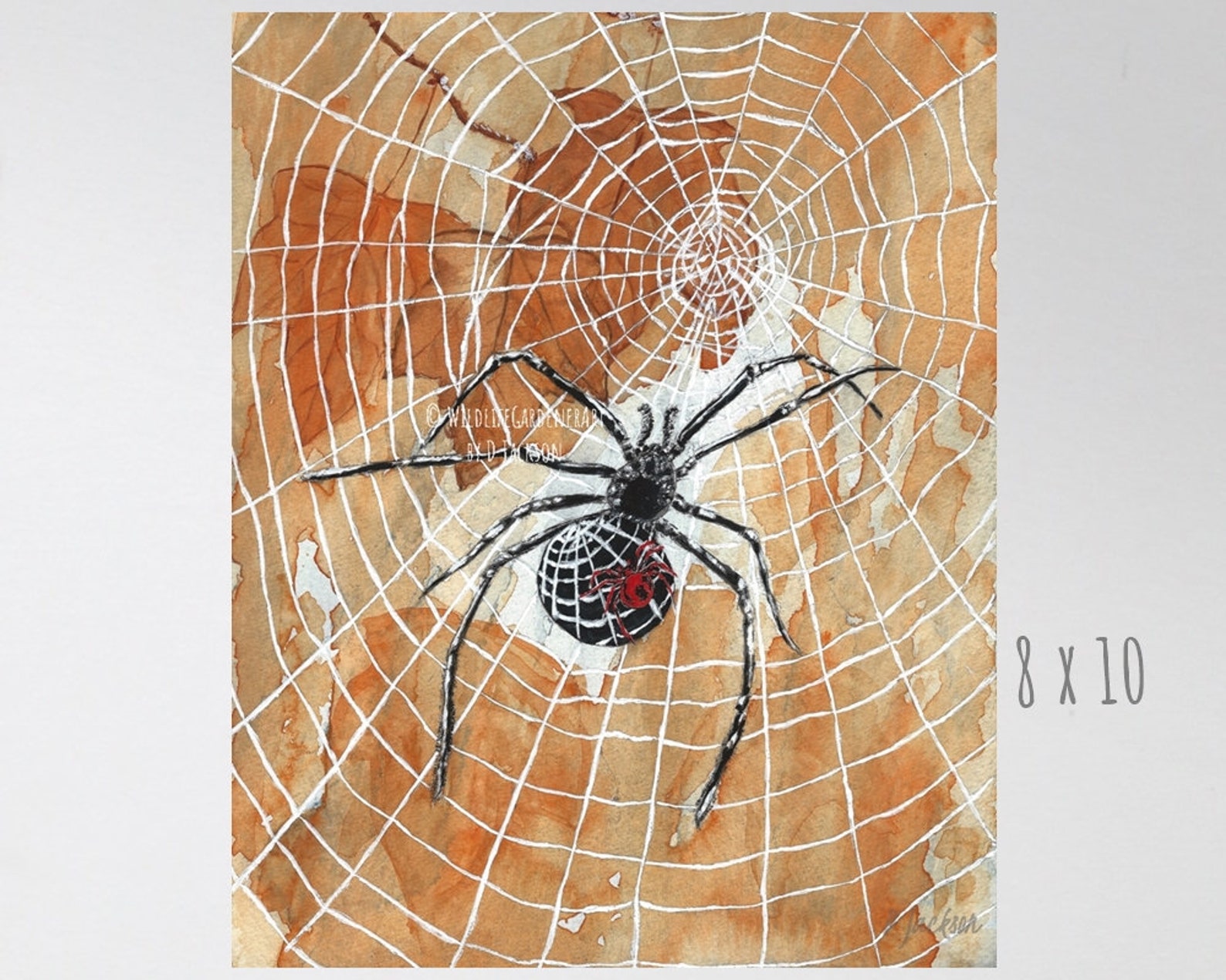 Black Widow Spider Watercolor Art Print Spider Web Art - Etsy