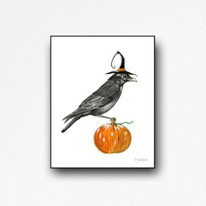May include: A black crow wearing a witch's hat sits on top of an orange pumpkin. The crow is facing right and the pumpkin is on a white background.
