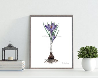 Purple Crocus Botanical Watercolor Art Print, Spring Floral Decor, Nature Lover Gift, Unframed