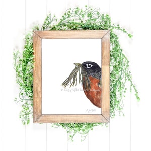 Robin Watercolor Art Print, Modern Bird, Minimalist Nature Lover Gift, Gift for Her, Unframed image 9